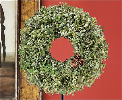 18" Fresh Oregonia & Boxwood Wreath